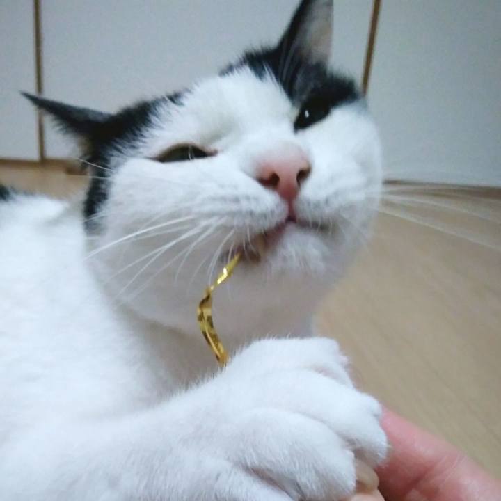 B4267297 2ecd 45bc b28f 3bebafa80e58 1552907082536