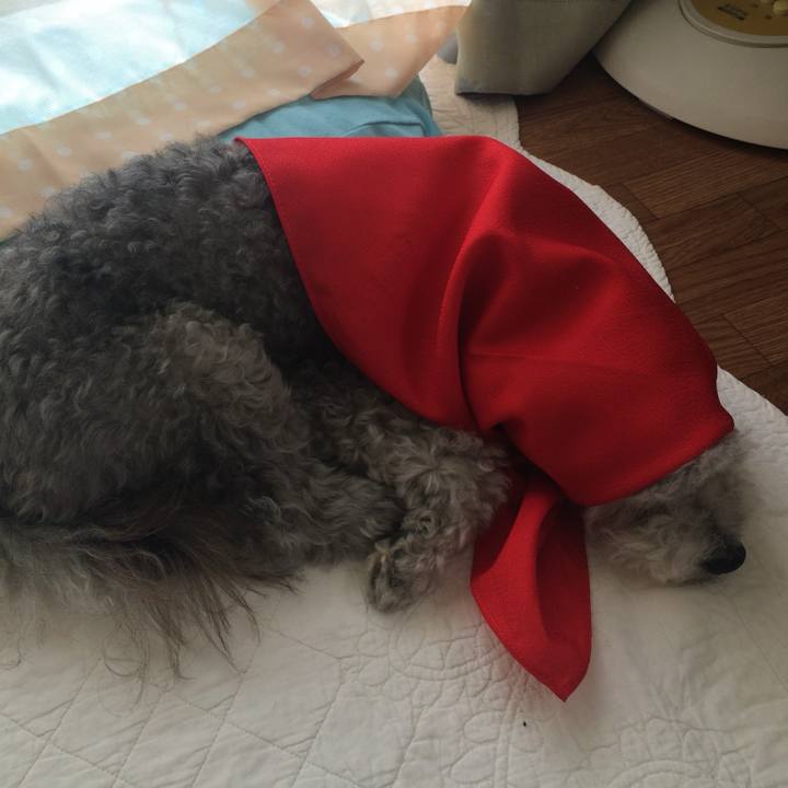 B426cc52 eb0e 4415 97db fbd33a0d2dc8 1741046934886