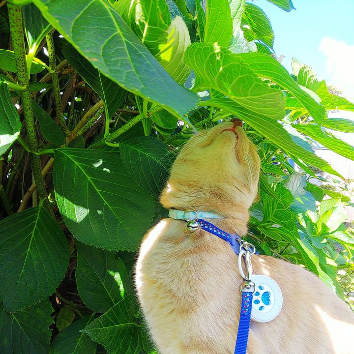 B426f50b f4f5 47d5 8c15 bc62e53a6168 1630372147842