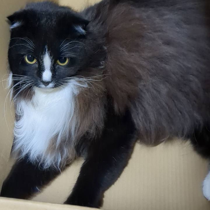 B4271756 6f8a 4d84 92ad d4162edf2354 1667515511430