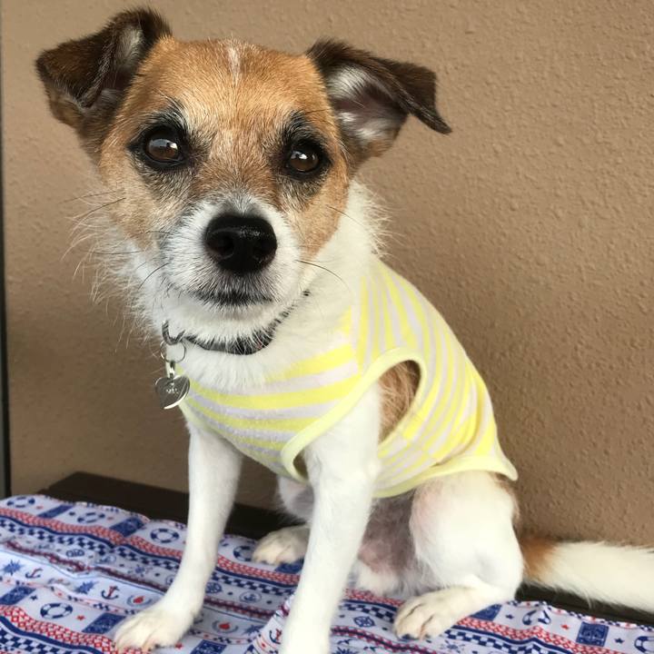 B4271f9f 6e14 4733 baa5 0e5d3f8d0ed1 1532557960458