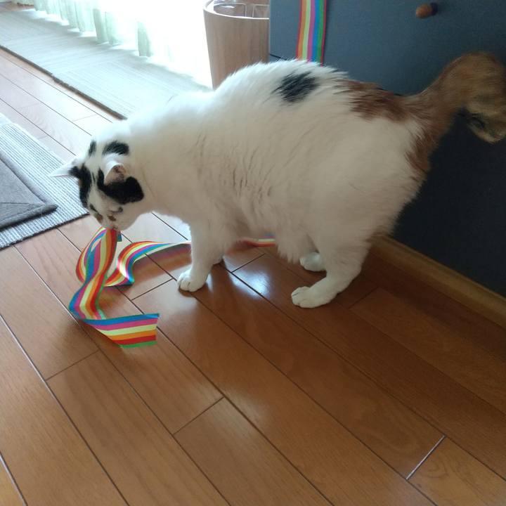 B427245b 08e2 47f0 ab1a 20b8fecb05b1 1683758728866