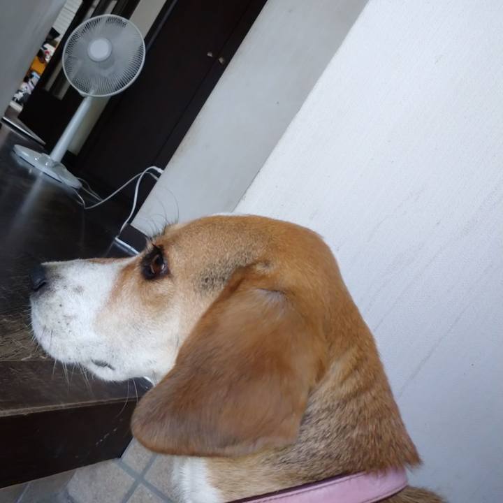 B42781e0 a431 4d10 8158 6a549868a404 1597204424571