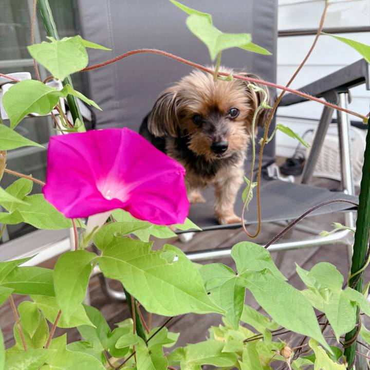 B427fafc f2ad 4cf3 aa1b 9f9f4528f4fe 1755384786330