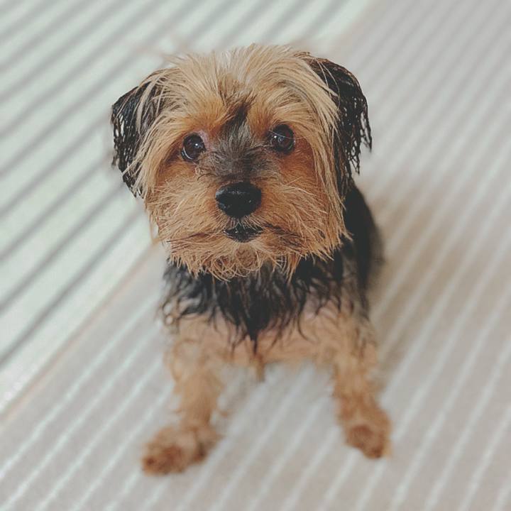 B4281b01 faa7 49e9 ba70 a64ea4458c2f 1618017028791