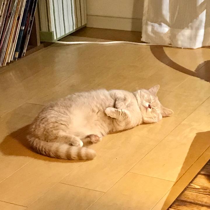 B428348d 7bbe 4ec2 bb54 a74876d3e36f 1557104490854