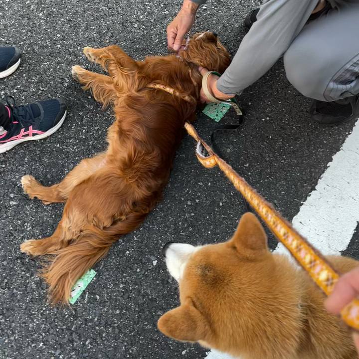 B428479c 6d43 4dc3 81d5 5dc0f7ed1be4 1653816148179