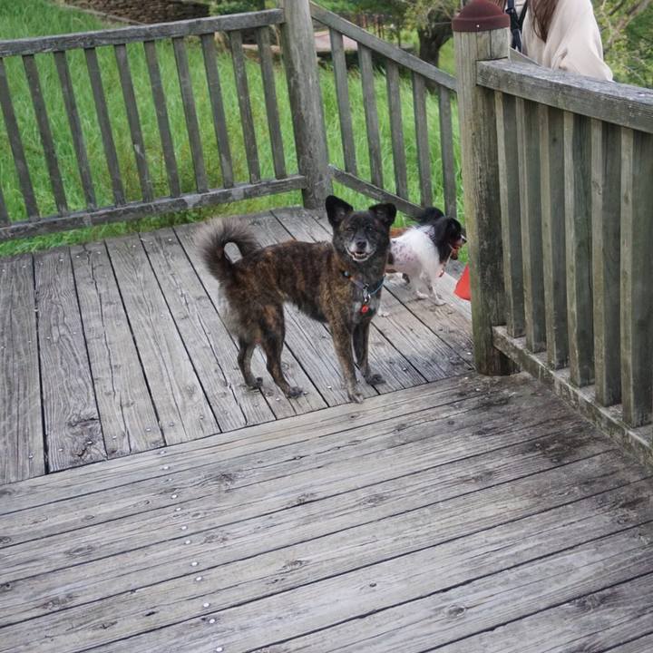 B4285385 acc2 41bd 8a2a 4e2021267af8 1565834109647