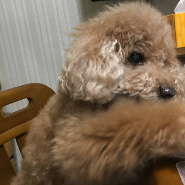 B428569f 7ae8 4c35 ae92 b7f95b06e660 1536841705056