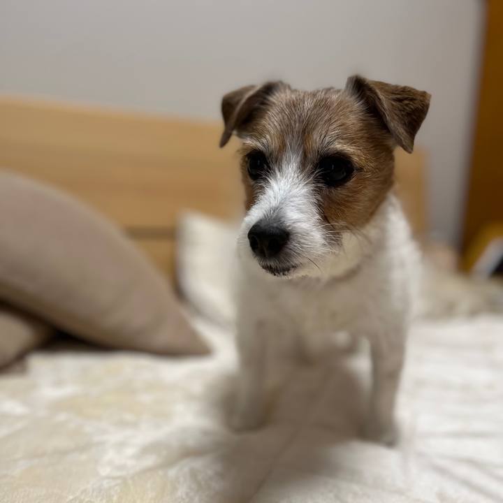 B4285eca 96da 414d 82c1 29711c31ac9c 1730607077274