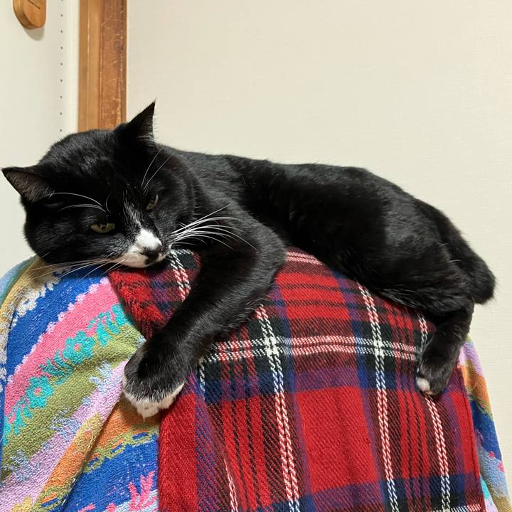 B42870b1 6537 4d6d b2ef 3ffc11bffea3 1745210459335