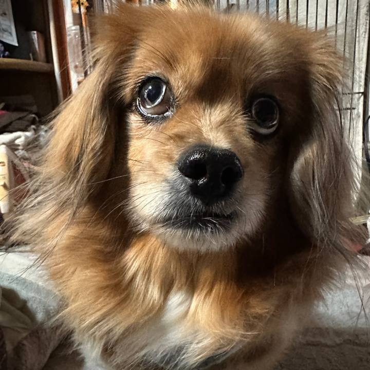 B42891ab 7dc5 4009 aa99 ef1216daacf4 1709587250743