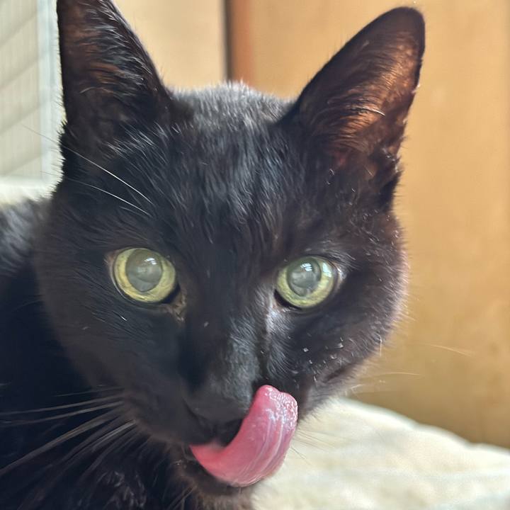 B428bada 0b12 4e41 a5b0 67fb3968307b 1709774586072