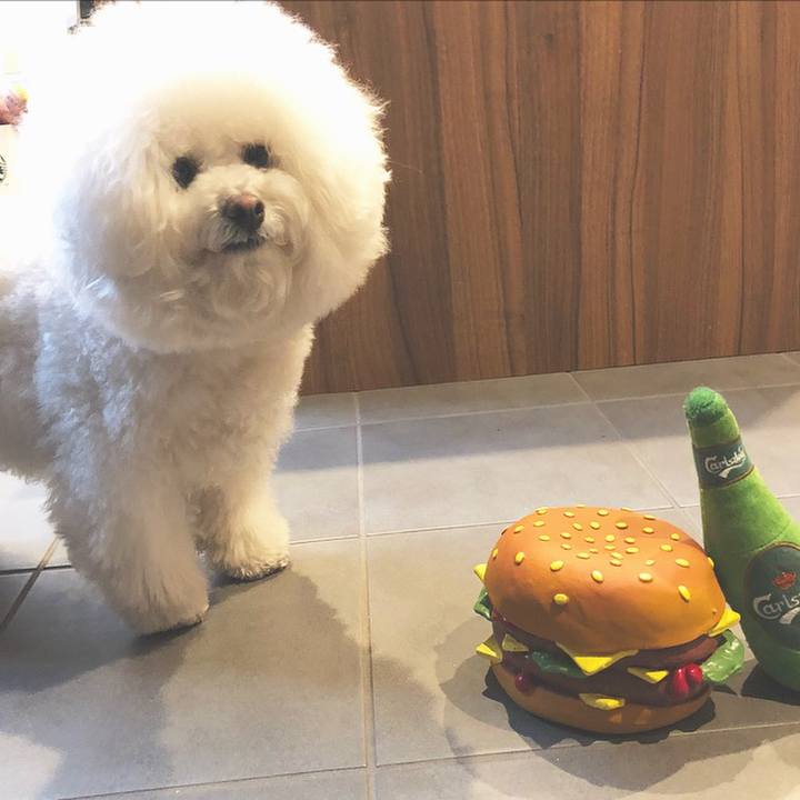 B428bef5 8dae 4ec5 9853 4e7cb2ebfeda 1519280703985