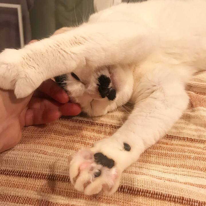 B428c3f1 500f 4548 ad70 e9d8e1ebb6ee 1524404091264