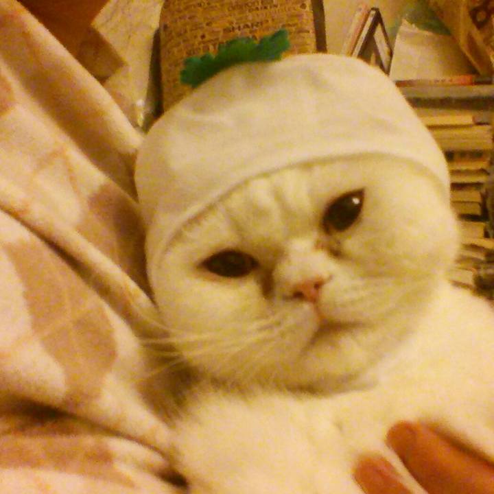 B428d509 afef 457f a50d ebc7d5a4e30f 1519303672061