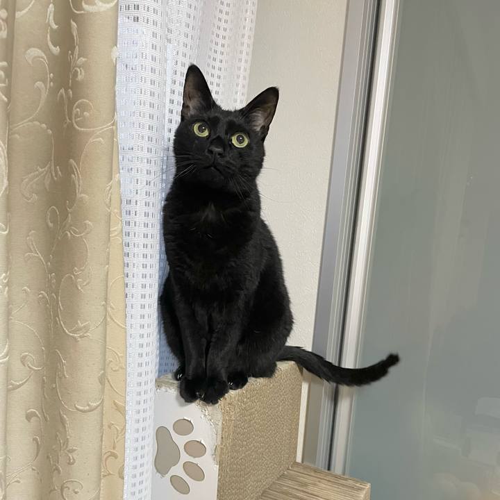 B428e6a1 1a13 4700 bce0 2d70dfc9e252 1683041645373