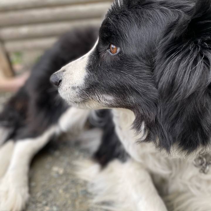 B42946f1 3960 4df5 a3d3 798fff85bccd 1647215364972