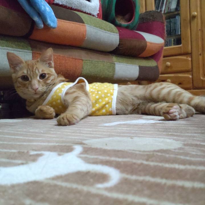 B429941c 83e5 47d2 a931 9770954893c1 1677592851780