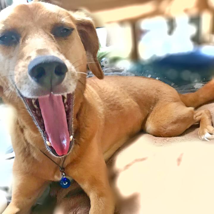 B429c501 8b7b 48e4 afa4 ade989be92f9 1533770676206