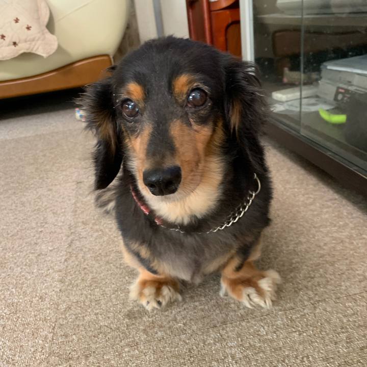 B429de7c 03c6 42a4 a8fc 7829730990f9 1565127511267