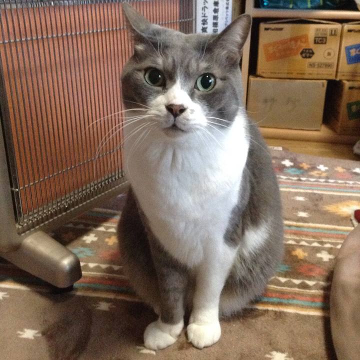 B429f8e7 9677 4f7e 9265 8561b81435f7 1542933186018