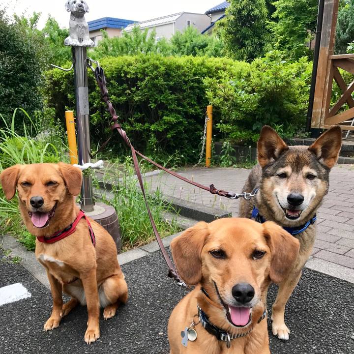 B42a6f08 3cde 4a23 ade8 5c3640bb5b49 1526520467819