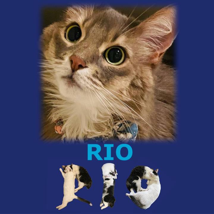 B42a9705 9819 4f3c bcbb 6972589b5575 1668587575124