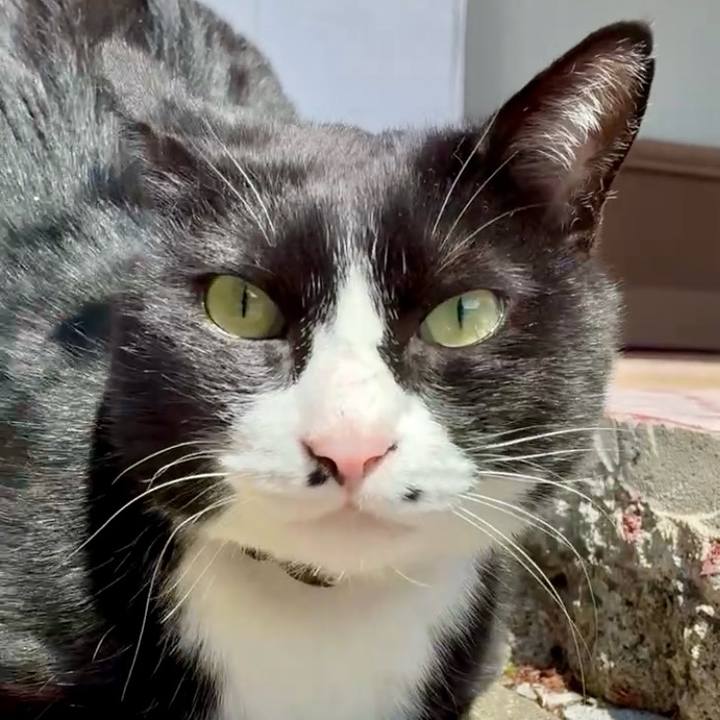 B42a9c60 75bd 48ee ade9 4ce53efe16b3 1744686296791