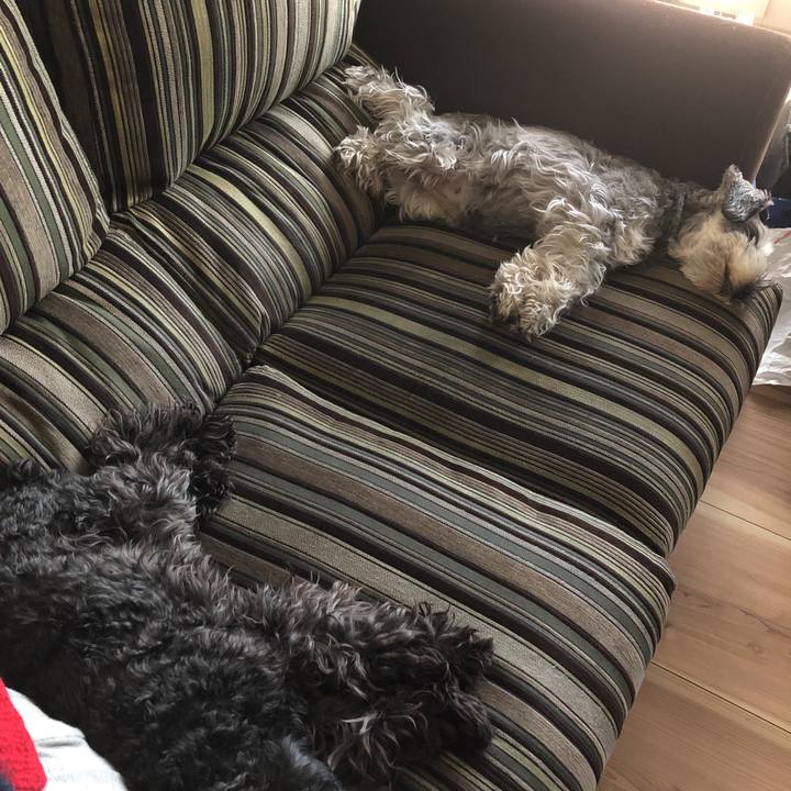 B42aef23 1be7 4344 b9b5 55cc564b27e4 1588310006357