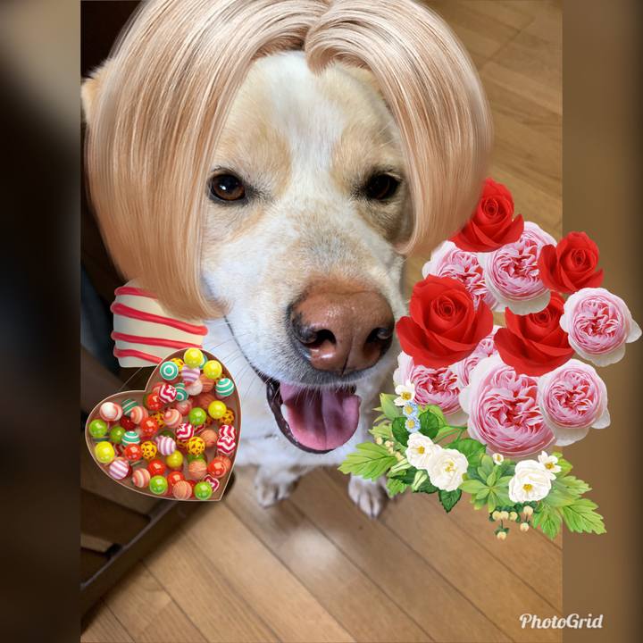 B42b17b1 eb5f 4265 a1b9 3f038784b005 1557640315880