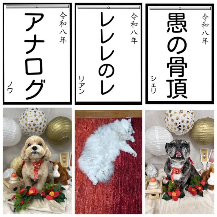 B42b5f25 f894 4fd6 8752 db9a9168e479 1767546537154