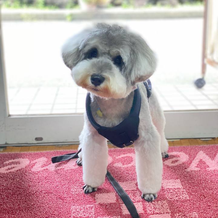 B42be96e 9ec1 4ab0 8e9c 173ff335629a 1625733691909