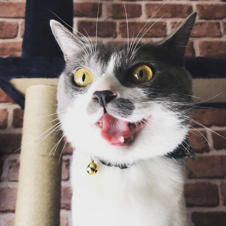 B42bf2b6 cdf8 4a97 8bb3 0d28716b2246 1624006425309