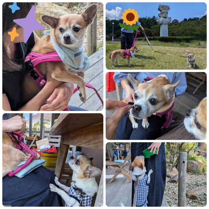 B42bf8a9 adb9 4992 be7c 458c344a73eb 1723672017909