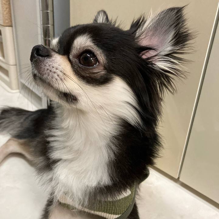 B42c0fa9 a2f1 4cfe bd4e efdd6ed6e621 1649598657607