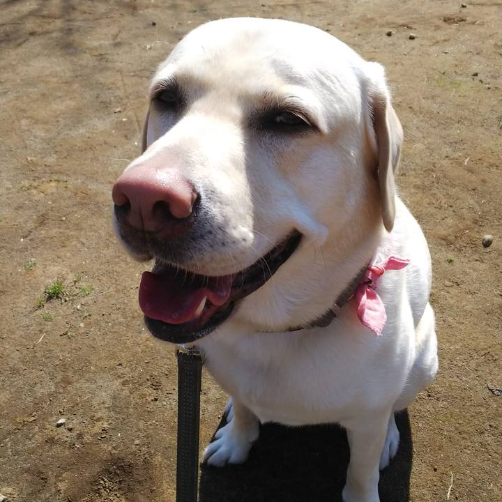 B42c19ef 3144 4734 994a 428d3903e2f5 1553059201681