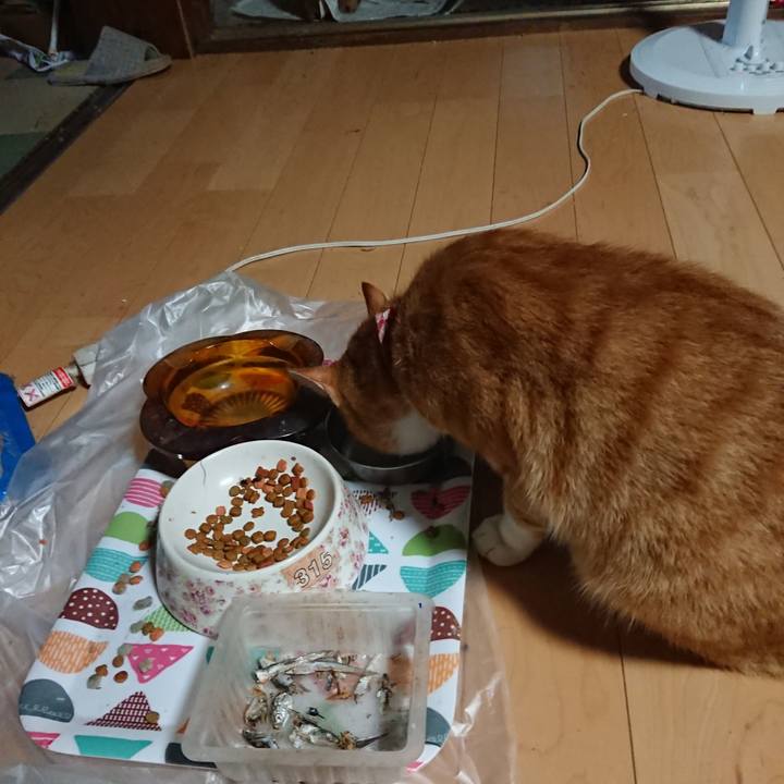 B42c2f9e 901b 4d0b 991e e9f97a04b52e 1599641263628