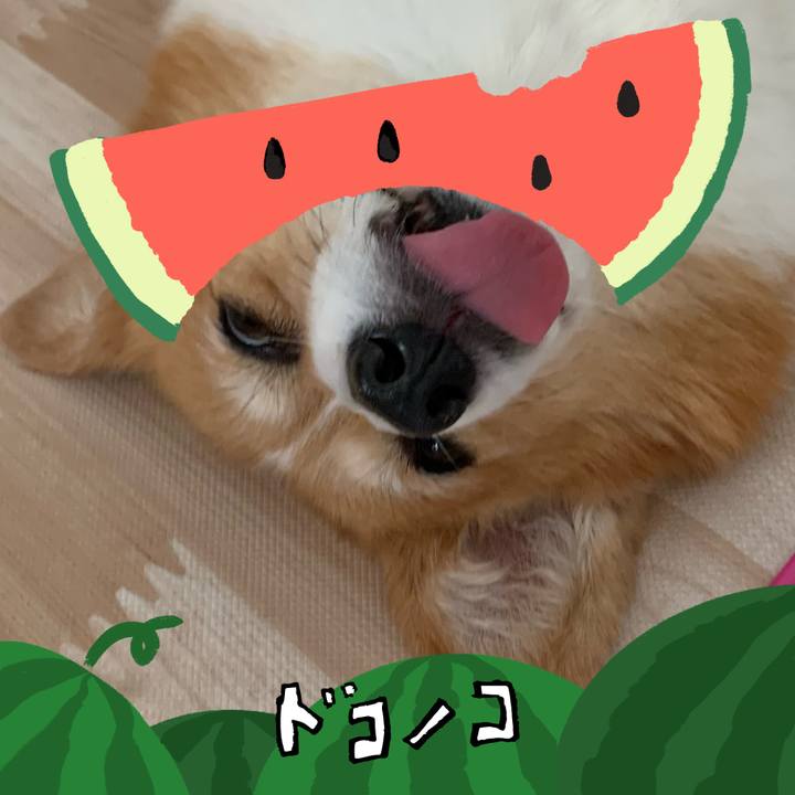 B42c4135 8ce5 40dc bf60 225af15fce27 1720930565794