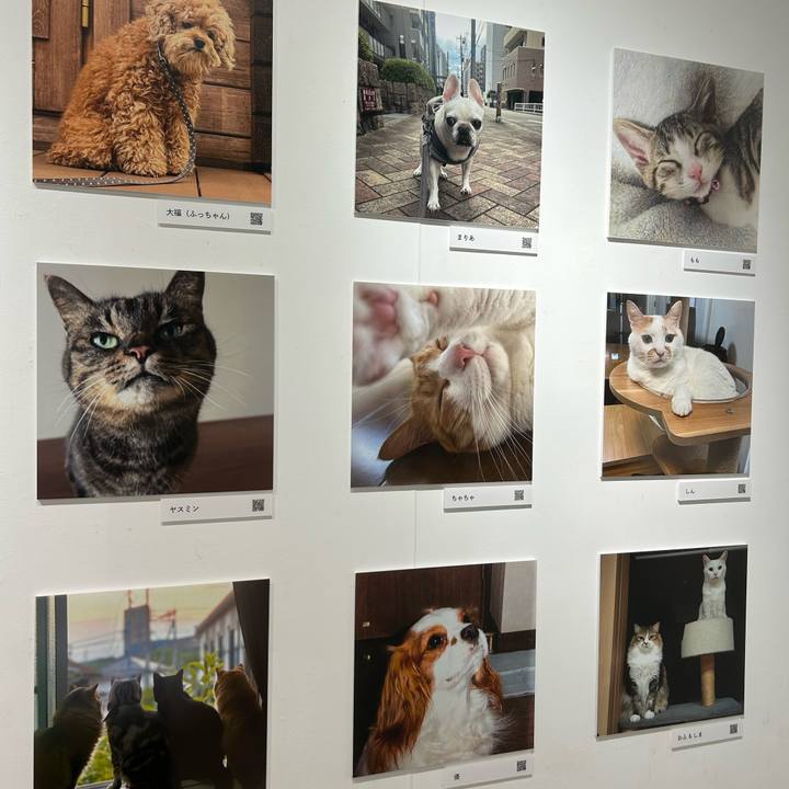 B42c89d8 d190 428d a799 34f600a9ce9f 1762070941504