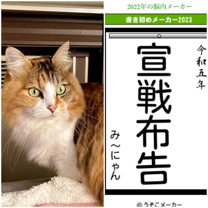 B42cb43e 0a42 4f29 a63f 8b1f3fab33f3 1672642793878