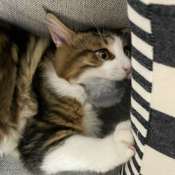 B42ce017 82ff 4b5d a5bc a0f9a8bfe631 1636493545300