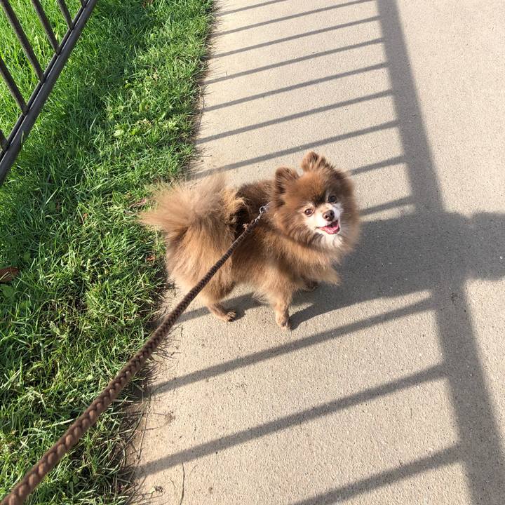 B42cf670 b565 4c24 9004 866de5e83694 1602635863160