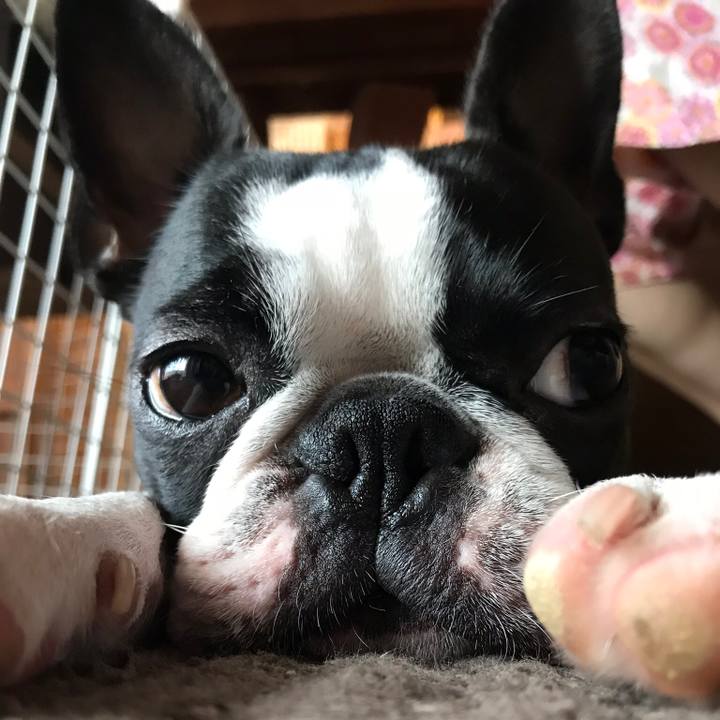 B42d183f 0975 4685 b961 0758f7e12823 1534302046434