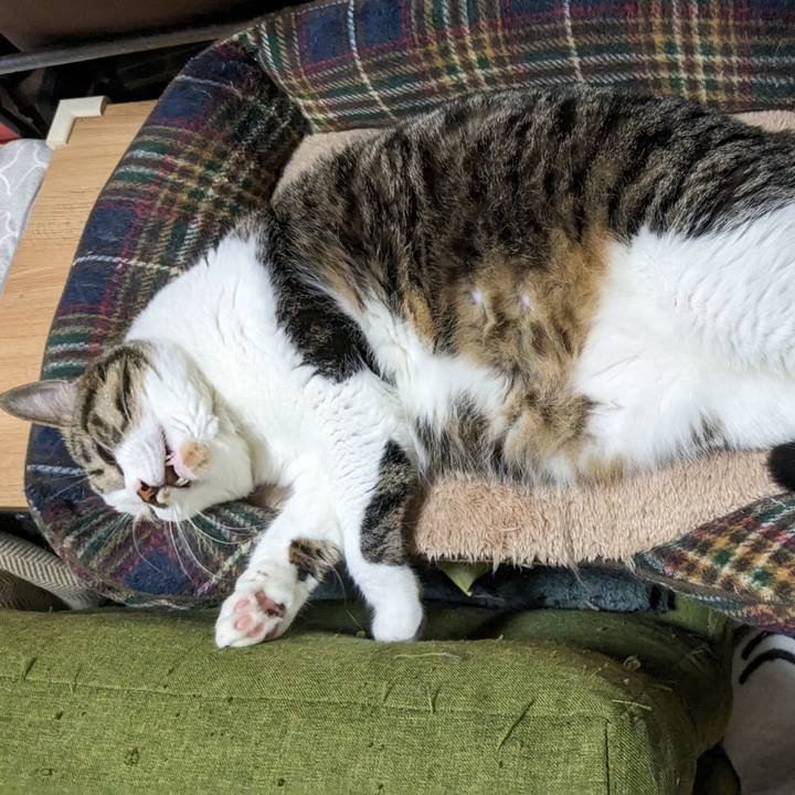 B42d9b41 adc6 414c 8479 84820e939620 1696321383205