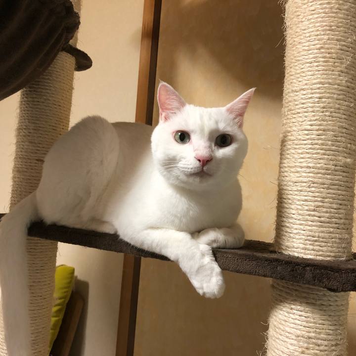 B42db993 789b 4acd 99a3 566054a936ef 1531657551427