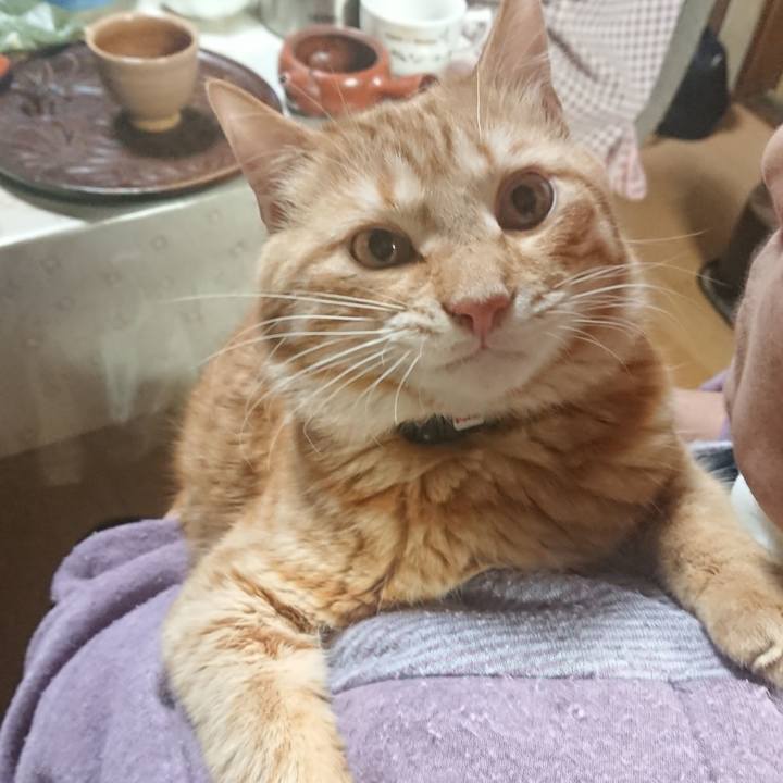 B42dc2f4 4d10 4381 937f 8abff76865aa 1645272074156