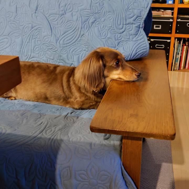 B42dc563 84b9 43e1 8aaf da59d40e9dd6 1724515929843