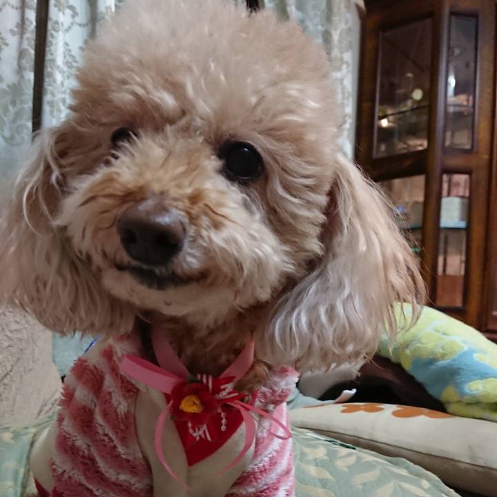 B42def96 cec5 4405 a66e 5b256b7c2fcf 1581820877661