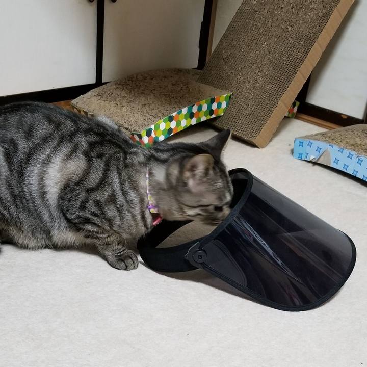 B42df6c1 ad06 488e be0c c840a65429ea 1687792670325